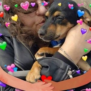 Meet your Posher, Robin